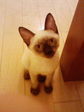 !cid_01@080811_215024@____SH905i@docomo_ne.jpg