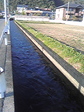 080605_174330.jpg