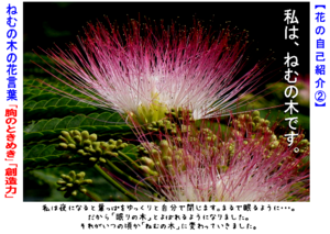 20130071.png
