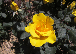 2013094.png