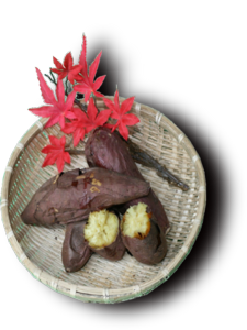 おいも影.png