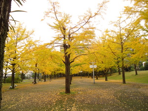 DSC03713.JPG