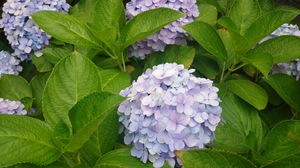 DSC_2759.JPG