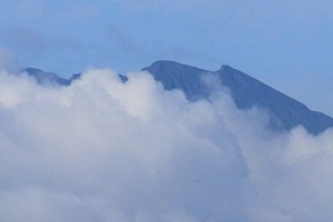 IMG_0662.jpg