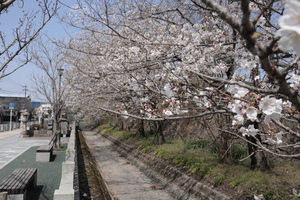 IMG_4600.JPG