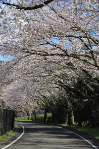 IMG_7724.JPG