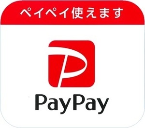 PayPayマーク2.jpg