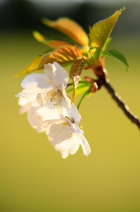 _MG_8876.jpg