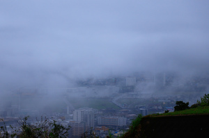 _MG_9891.jpg