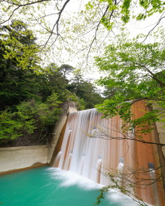 _OMO0129.jpg