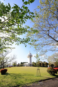 _OMO5939.jpg