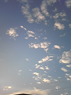 080904_175416.jpg
