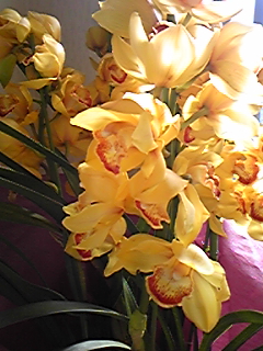 081227_104750.jpg