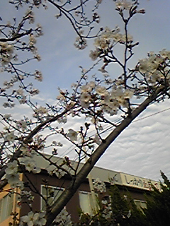 090323_173316.jpg