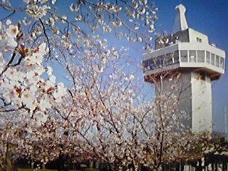 090324_102408_ed.jpg