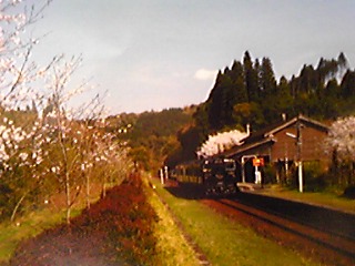 090325_141142_ed.jpg