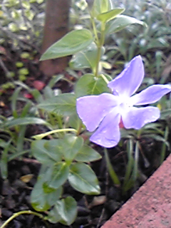 090320_093430.jpg