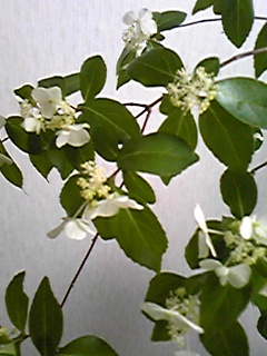 090420_095102.jpg