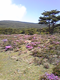 090524_104929.jpg