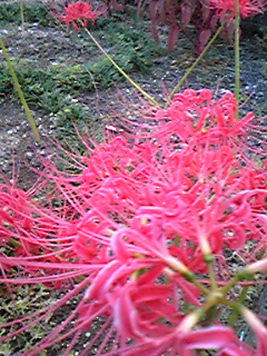101004_174656.jpg