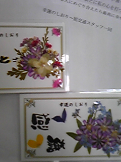 101102_102133.jpg