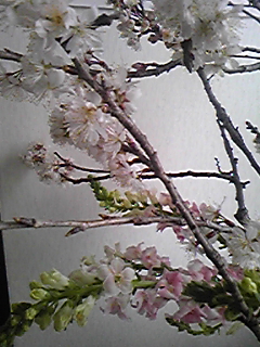 110301_155339.jpg
