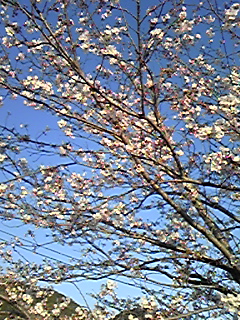 110405_173900.jpg